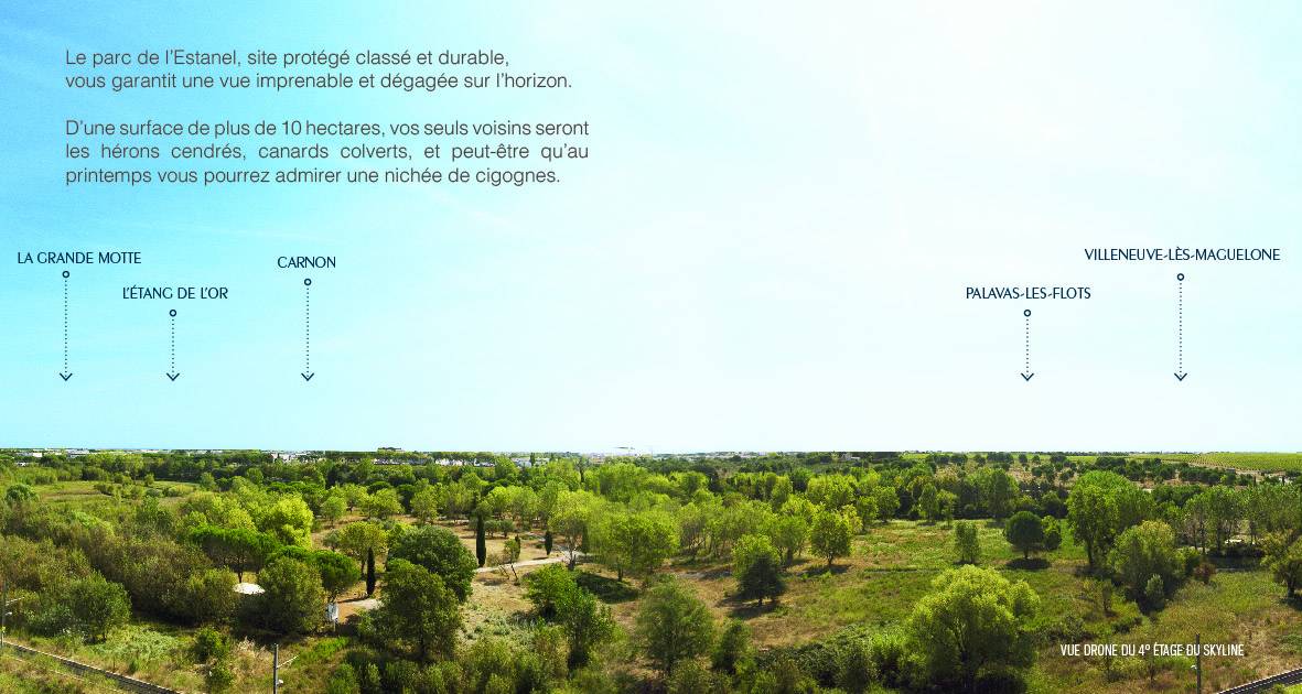 logements neuf appartement lattes defiscalisaton loi pinel montpellier abordables investir acheter