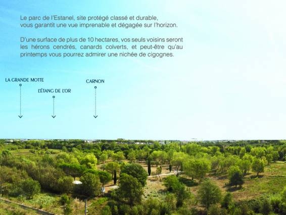logements neuf appartement lattes defiscalisaton loi pinel montpellier abordables investir acheter